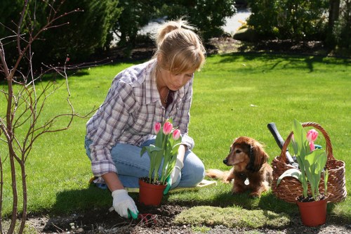 Garden clearance crew removing green waste into an enclosed vehicle